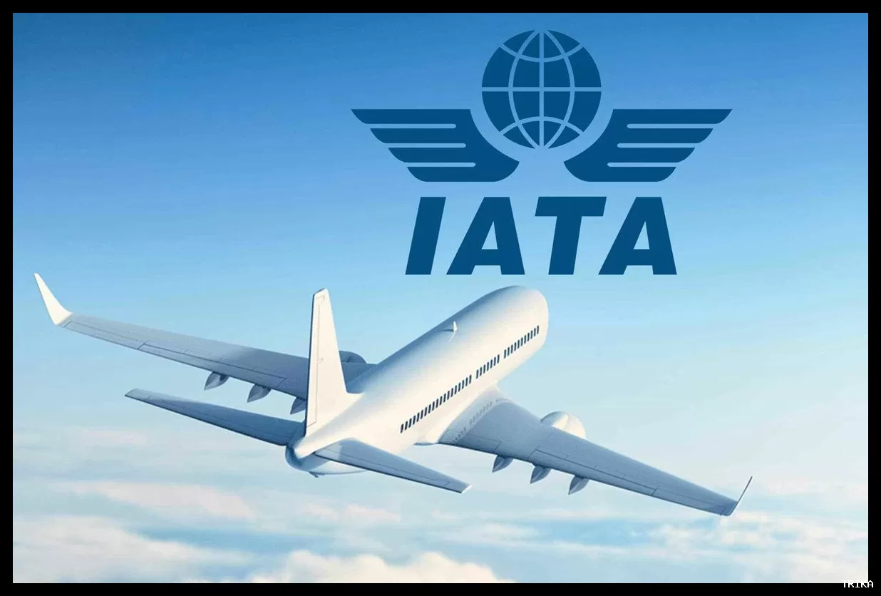 کدهای فرودگاهی (IATA) چیست و چگونه اطلاعات بلیط را بخوانیم؟
